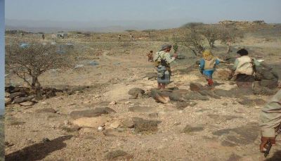 مقتل قيادي حوثي بنيران قوات الجيش غربي تعز