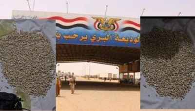 شحنة مخدرات من مناطق الحوثيين تسقط في قبضة أمن الوديعة قبل تهريبها إلى السعودية