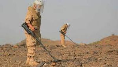 برنامج "مسام" ينزع 1.181 لغما خلال أسبوع زرعتها المليشيات الحوثية