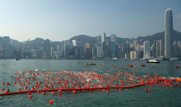 السباحة منافسة سنوية في هونغ كونغ