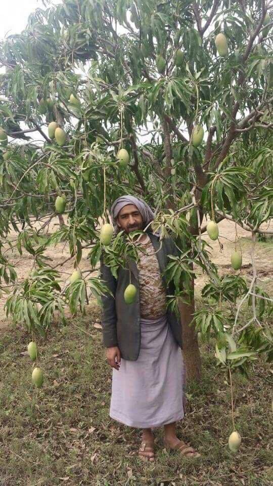 مصرع نجل إمام جامع النهدين في صفوف المليشيا الحوثية بـ"نهم" (اسم وصورة)