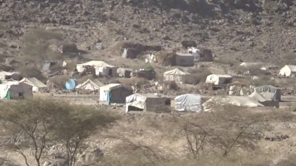 صنعاء: توزيع 2400 سلة غذائية لنازحي مخيم الخانق بمديرية نهم