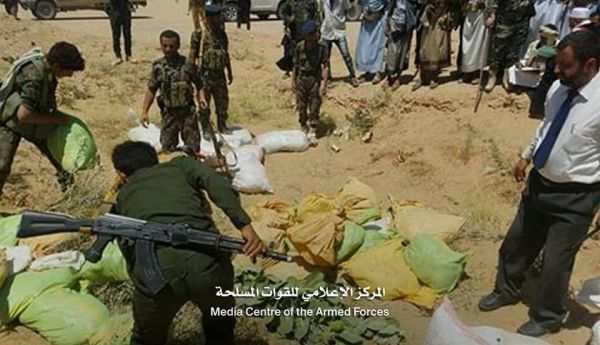 الجوف.. أجهزة الأمن تتلف أكثر من 1000 كيلو من الحشيش كانت في طريقها للحوثيين