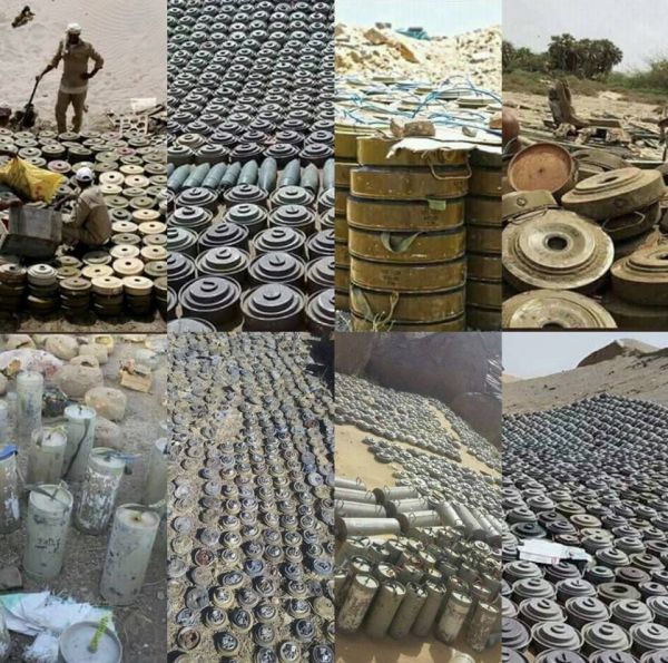 منظمة دولية: مليشيا الحوثي زرعت آلاف الألغام وضحاياها هم المدنيون