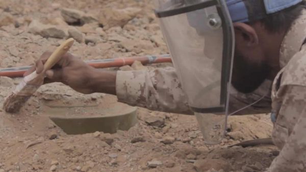 مسام ينتزع 8602 لغماً خلال شهر مايو زرعتها المليشيا الحوثية