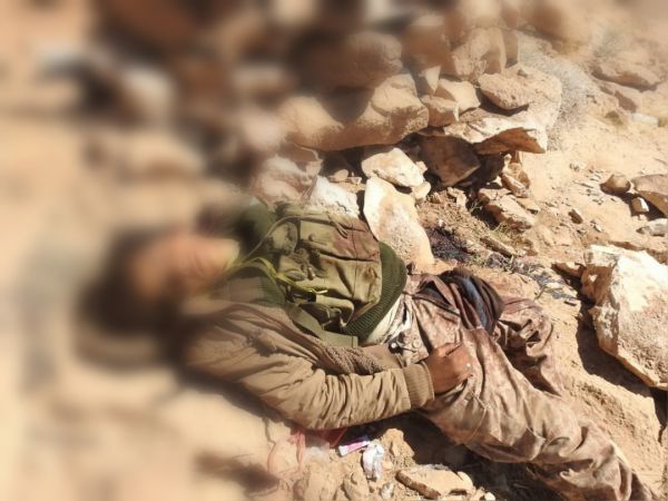 معارك نهم تلتهم عناصر الميليشيا.. وأحياء صنعاء تستقبل مئات القتلى من الحوثيين بلا توقف