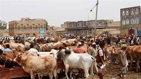 منهم بائعو اللحوم.. تجار في صنعاء يشكون ابتزاز مليشيا الحوثي خلال إجازة العيد