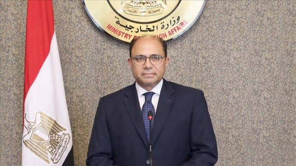 مصر تدعو لتنفيذ قرار مجلس الأمن بإقامة هدن وممرات إنسانية عاجلة بغزة