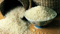 عالم صيني يبتكر طريقة زراعة الأرز بالمياه المالحة