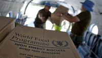 الغذاء العالمي: الحوثيون يسرقون الطعام من أفواه الجائعين