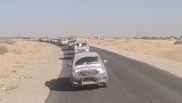 أبناء تعز يسيّرون قافلة غذائية لأبطال الجيش في جبهات مراد بمأرب أبناء تعز يسيّرون قافلة غذائية لأبطال الجيش في جبهات مراد بمأرب