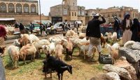 سكان صنعاء يستقبلون عيد الأضحى على وقع أزمات حادة وارتفاعات في أسعار الأضاحي