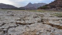 الصليب الأحمر: الجفاف والفيضانات يُهددان بانهيار القطاع الزراعي في اليمن