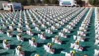 بدعم كريم من جمعية بصائر.. مؤسسة كافل تنفذ مشروع السلل الغذائية لـ500 أسرة في مأرب